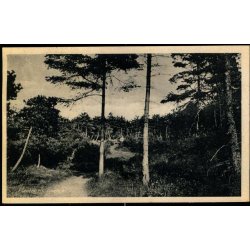 Plantagen - Liseleje - H.C. Hansens Bogh. 80026