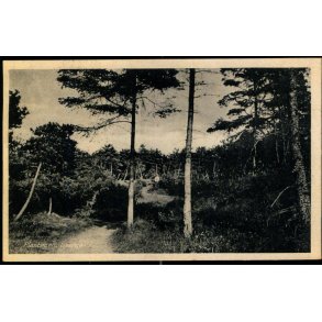 Plantagen - Liseleje - H.C. Hansens Bogh. 80026