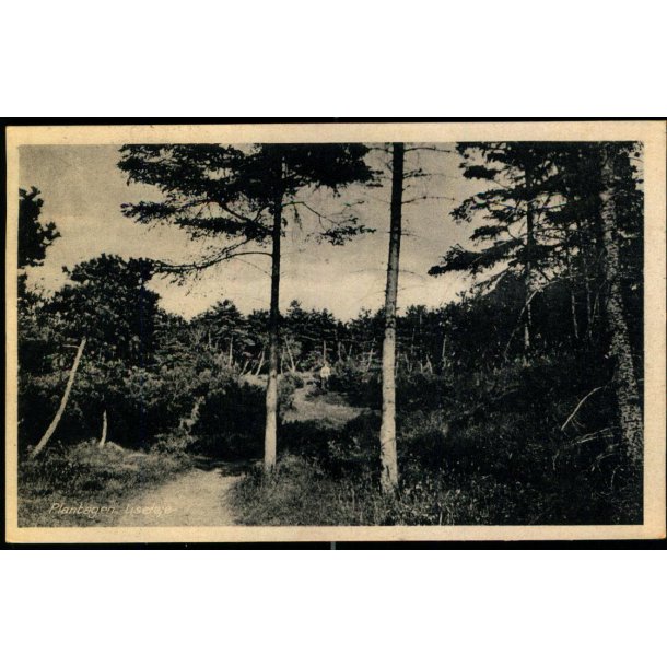 Plantagen - Liseleje - H.C. Hansens Bogh. 80026