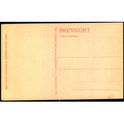 Udsigt over Tisvilde Leje - Albert Jensens Bogh. 8006 - Ubrugt