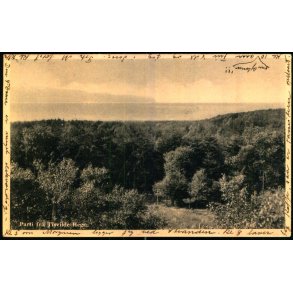 Parti fra Tisvilde Hegn - Eneret 352 - Brugt