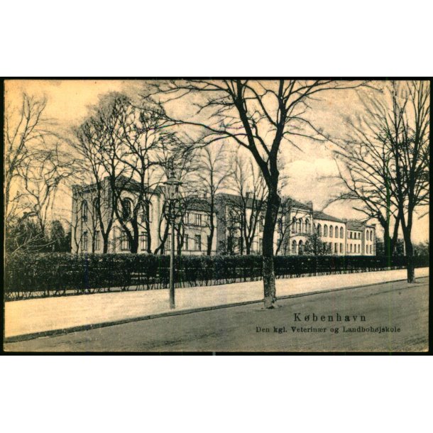 Kbenhavn - Den kgl. Veterinr og Landbohjskole - C. R. 104 - Brugt