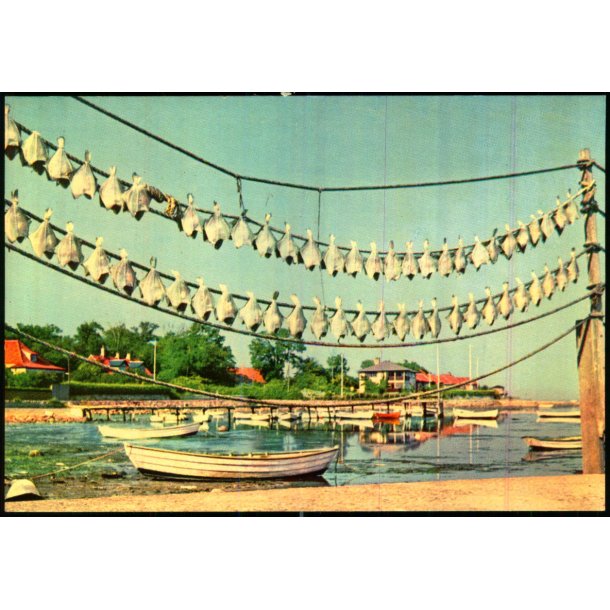 Frederikshavn - T�rrede Jyder - Asmussen 202 - Ubrugt