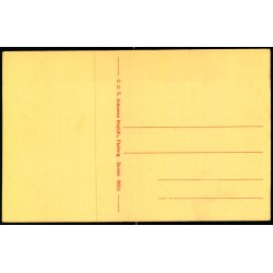 Faaborg - Parti fra Svanninge Bakker - C.C.U. Johnsens Bogh. 26511 - Ubrugt