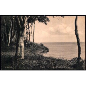 Nyborg - Parti fra Teglv�rksskoven - Stender 7871 - Brugt