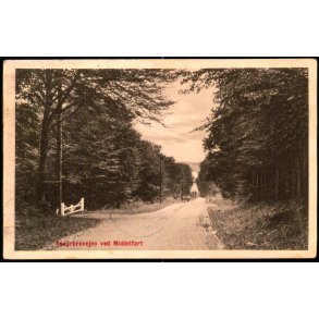 Kongebrovejen ved Middelfart - Carl S. Ladehoffs Bogh. 24450 - Brugt