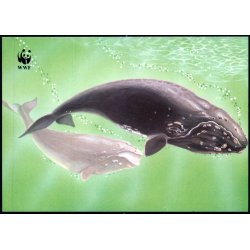 Slttibka - Postverk Froya u/n - Ubrugt