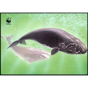 Slttibka - Postverk Froya u/n - Ubrugt