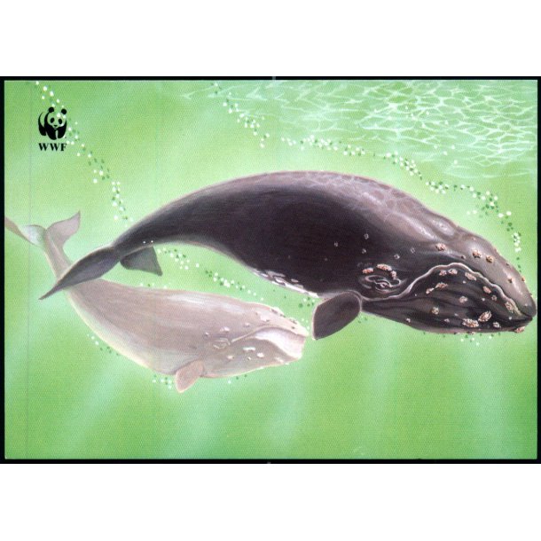 Slttibka - Postverk Froya u/n - Ubrugt