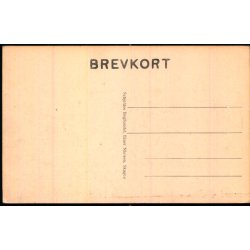 Skagen - Holger Drachmanns Hjem Villa "Pax"  - Schjeldes u/n - Ubrugt