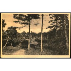 Plantagen - Liseleje - H.C. Hansens Bogh. 80026