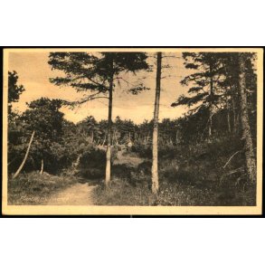 Plantagen - Liseleje - H.C. Hansens Bogh. 80026