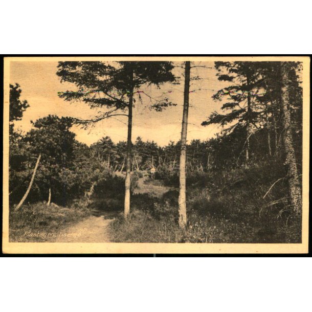 Plantagen - Liseleje - H.C. Hansens Bogh. 80026