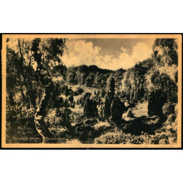 Tisvilde Hegn - Paradisdalen - Rudolf Olsen 168 - Brugt