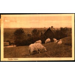 Tibirke Bakker - Alex Vincent 228 - Brugt