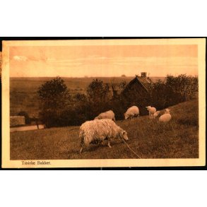 Tibirke Bakker - Alex Vincent 228 - Brugt