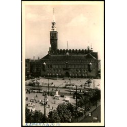 Kbenhavn - Raadhuset - Alex Vincent 736