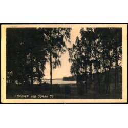 I skoven ved Gurre S - I.Hansen 64960 - Ubrugt