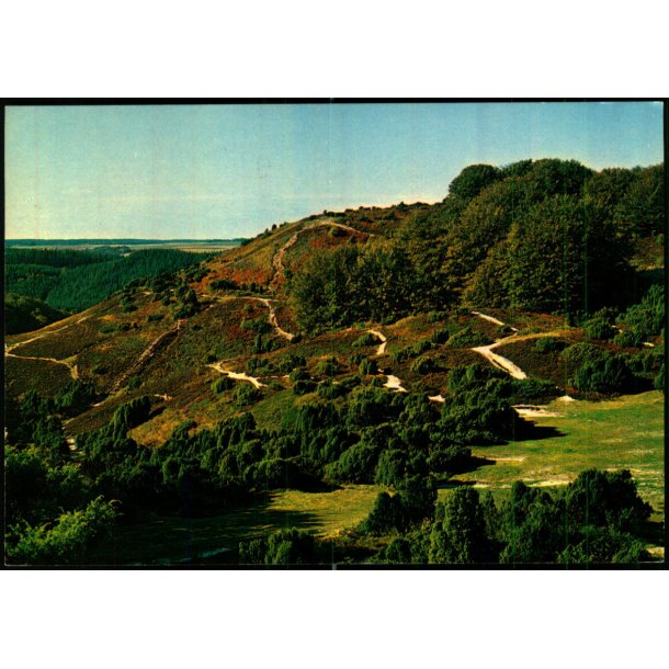 Rebild - Stier i Nationalparken - Stender 149 619 017 - Brugt