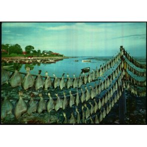 Frederikshavn - R�dsp�ttebyen - Witt-M�ller 6701 - 496 - Ubrugt