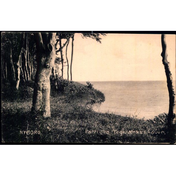 Nyborg - Parti fra Teglv�rksskoven - Stender 7871 - Brugt