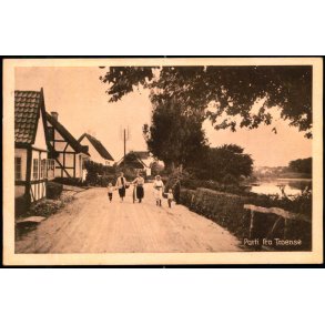 Parti fra Troense - Stender S. 160 - Brugt