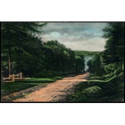 Kongebrovejen ved Middelfart - C.F. Kbenhavn u/n - Ubrugt