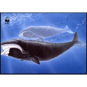 Grnlandsslttibka - Postverk Froya u/n - Ubrugt