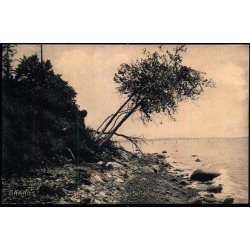 Aarhus - Ved Silistria  - Stender 820 - Brugt