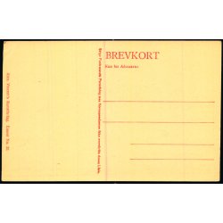 C. Bayer - Rosenborg - Mllens Brand - Vinteren 1850 - Alex Vincent 20 - Ubrugt