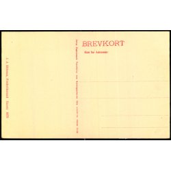 Jgerspris - Hngebgen ved Fasangaarden - J.J. Ebbesen 6379 - Ubrugt