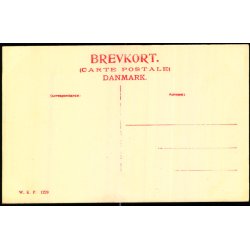 Esbjerg - Banegaarden - W.K.F. 1228 - Ubrugt