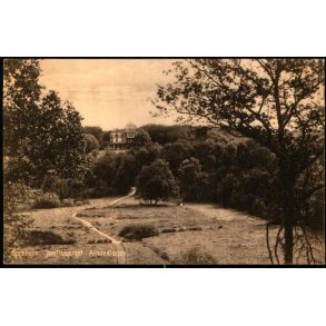 Bornholm - Jomfrubjerget Almindingen - Rnne Bogh. 35063 - Ubrugt