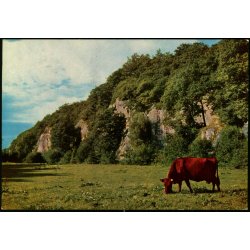 Bornholm - Ekkodalen i Almindingen - Colbergs Bogh. 8960 - Ubrugt