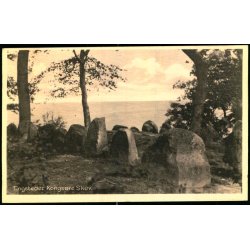 Tingstedet Kongs�re Skov - S. Bay 78221 - Brugt