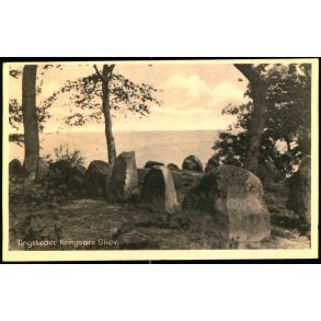 Tingstedet Kongs�re Skov - S. Bay 78221 - Brugt