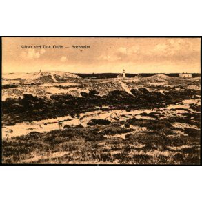 Klitter ved Due Odde - Bornholm - Frits Srensens Bogh. 742