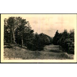 Tisvilde Hegn - Fr�bakken - Forte u/n  - Ubrugt