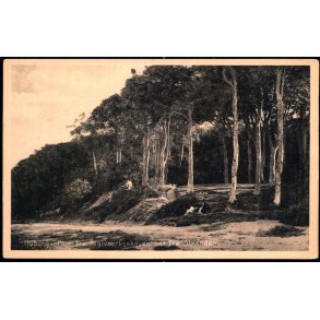 Nyborg - Parti fra Teglv�rksskoven set fra Stranden - Stender 28561 - Ubrugt