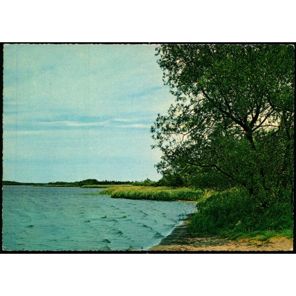 Karlsgaarde S� ved Varde  - Stender 40 716/21 - Ubrugt