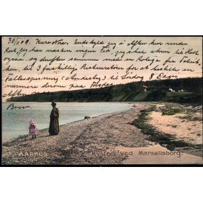 Aarhus - Kysten ved Marselisborg - Stender 11992 - Brugt