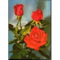 Postkort - Ubekendt efter Adressen - 27 - 10 - 78  - Brugt