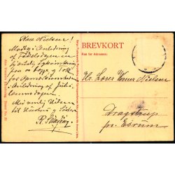 C. Bayer - Rosenborg - Mllens Brand - Vinteren 1850 - Alex Vincent 20 - Brugt