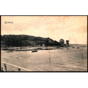 Dyreborg - Peter Alstrup 3856 - Brugt