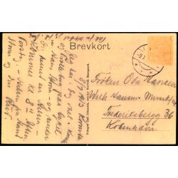 Brahetrolleborg Slot - Fotograf Carl Johansen u/n - Brugt