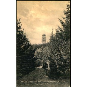 Udsigtstaarnet paa Fladsaa Bakker set fra Fannylund - E. Larsen 20032 - Ubrugt