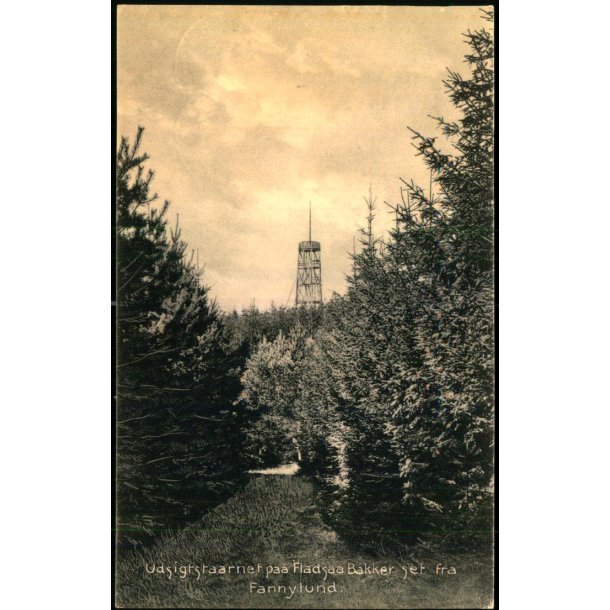 Udsigtstaarnet paa Fladsaa Bakker set fra Fannylund - E. Larsen 20032 - Ubrugt