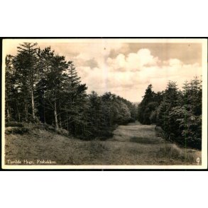 Tisvilde Hegn - Fr�bakken - Fotokort Stationskiosken 106 - Ubrugt