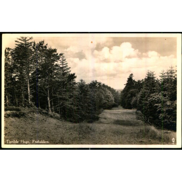 Tisvilde Hegn - Fr�bakken - Fotokort Stationskiosken 106 - Ubrugt