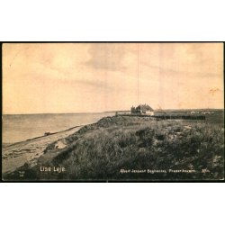 Lise leje - Albert Jensens Bogh. 3711 - Brugt